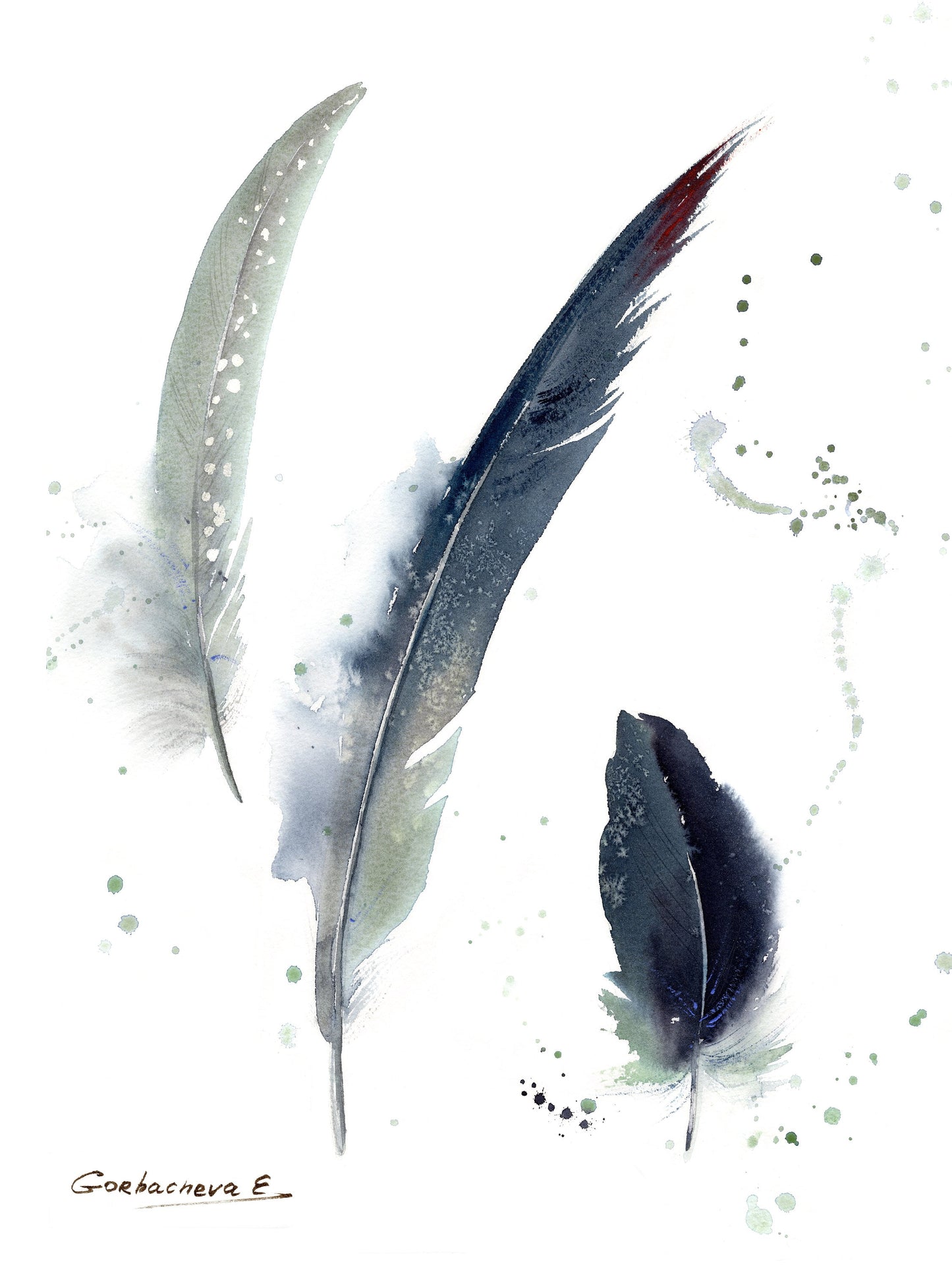 Bird Print Set of 2 Piece, Watercolor Art Prints, Grey Crowned Crane, Minimalist Wall Decor, Feather Tropic Decoration