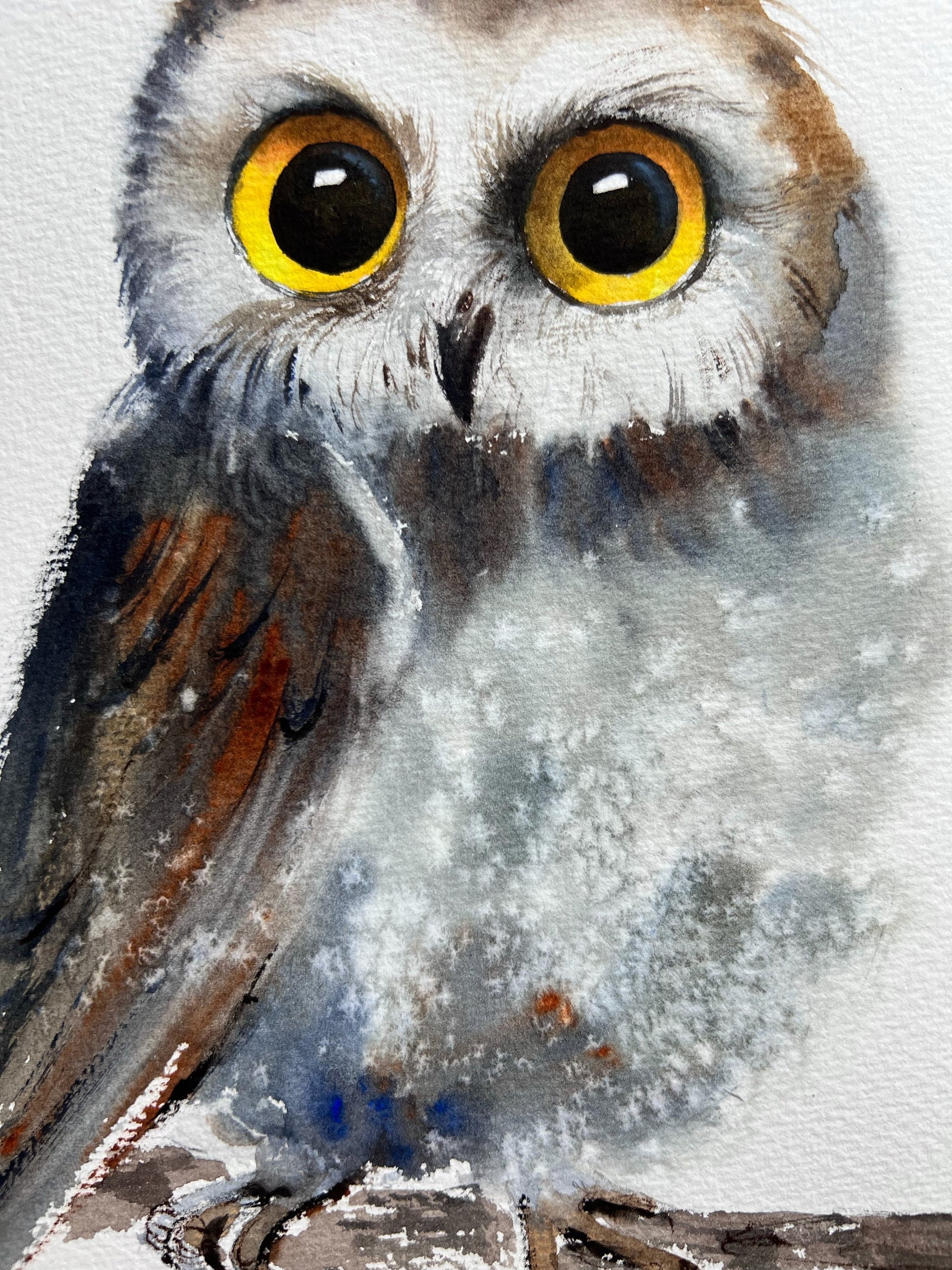 Original Art Aceo Painting Gouche on Canvas Owl 