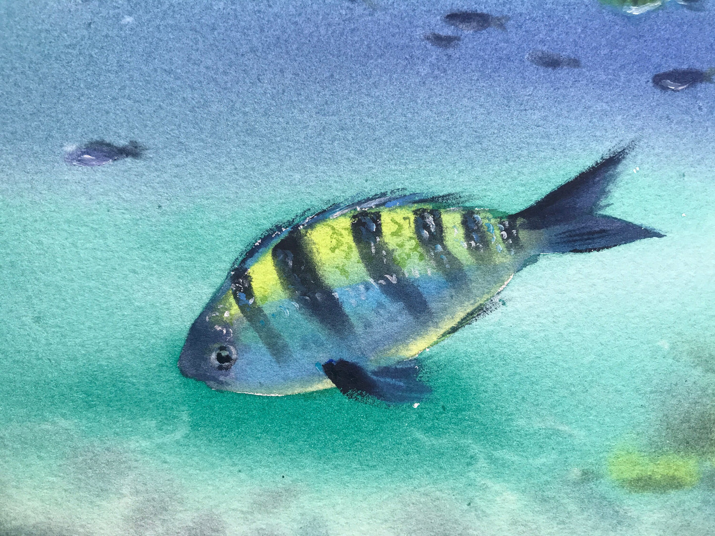 Tropic Fish Painting Original, Undersea Artwork, Ocean Corals, Underwater Art, Coastal Wall Decor, Gift For Diver