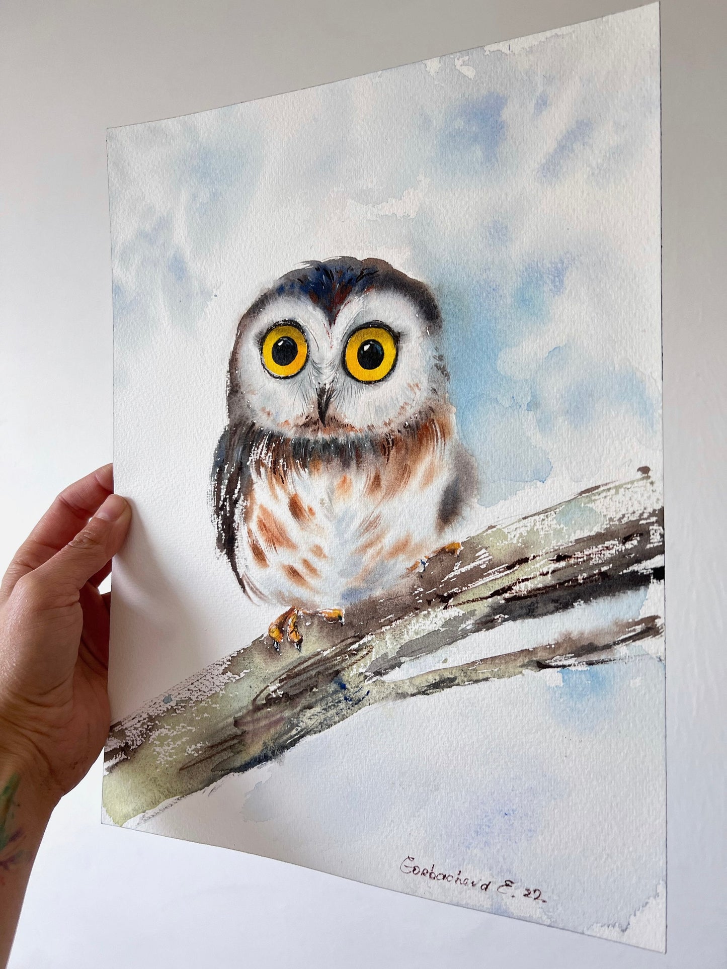 Original Illustration Watercolor Painting - Baby Owl on a branch